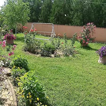 Гостевой дом Liget Panzio