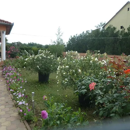 Liget Panzio Nyirbogdany