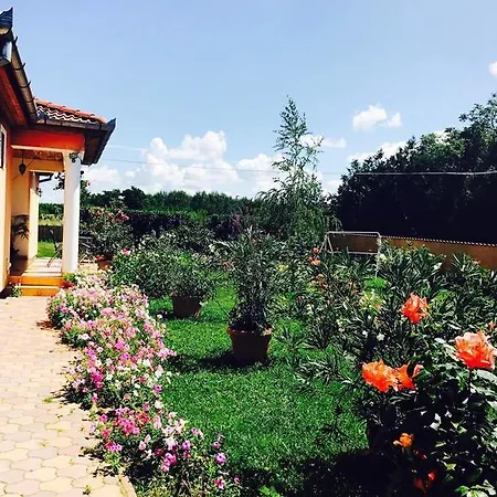 Гостевой дом Liget Panzio