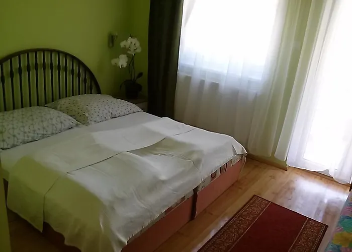 Pensionat Liget Panzio *