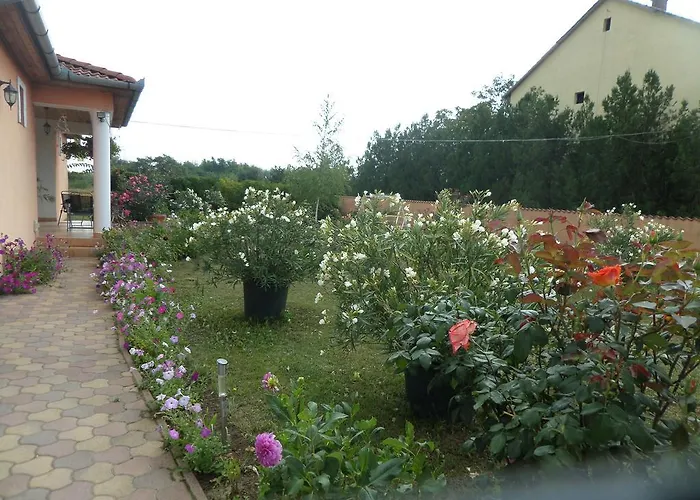 Liget Panzio Nyirbogdany