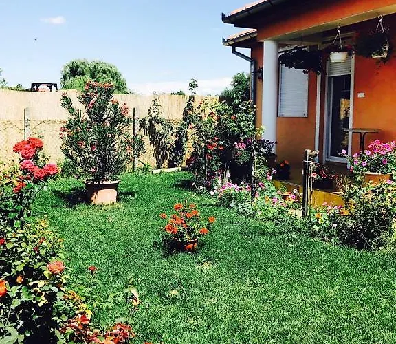 Pensionat Liget Panzio Nyirbogdany