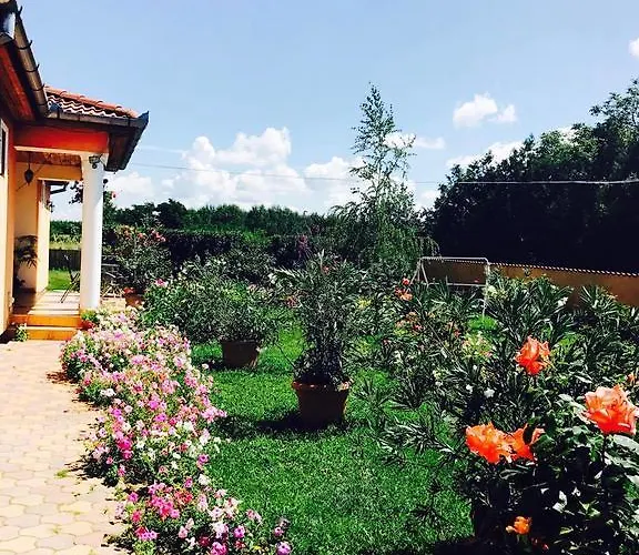 Pensionat Liget Panzio