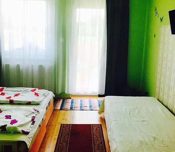 Pensionat Liget Panzio *